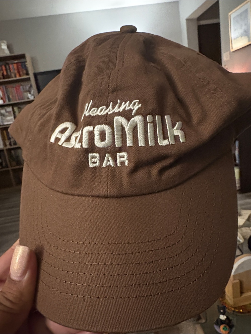 Harry Styles Pleasing Brown Baseball Cap